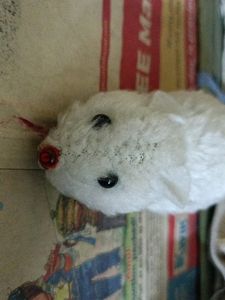 Toy Mouse