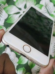 iPhone 6s - Vivo Combo