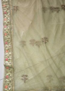Embroidered parrot lehenga Choli