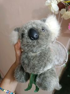 Cute Koala Soft Toy (Imported)🐨♥️