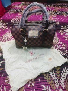 Louis Vuitton New With Teg Handbag