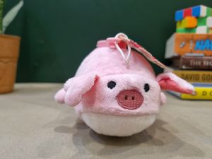 Molang Piggy Hoodie Rabbit Mini Plush Toy Keyring