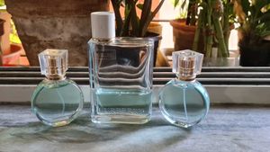 Burberry Her EDT 25ml Decant