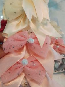 Coloured Hair Clips