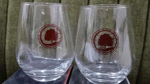 New Packed Glass Set Of Two.