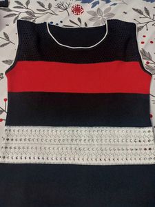 Bodycon Stretchable Mini Dress