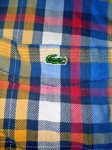 Lacoste Shirt
