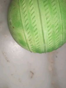 balls all are branded Maruti Cosco and nivia