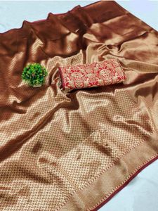Brand New Banarasi Silk Saree