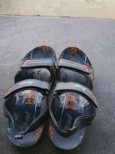 Stylish Paragon Sandals