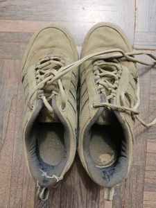 Casual Shoes