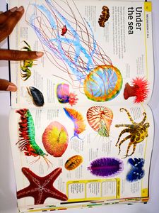 General Knowledge Genius Encyclopedia