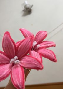 Pink Lily 💗