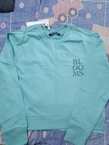SEA GREEN SWEATSHIRT