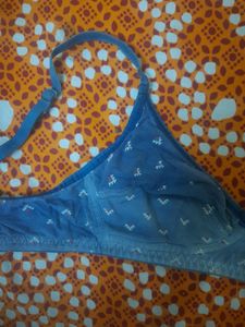 Blue Bra
