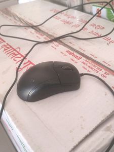 Mouse