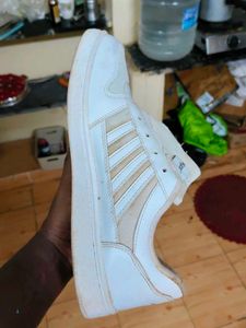 Sparx White Sneakers