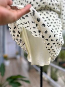 Shrit Dress
