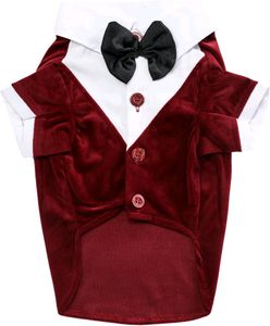 New Dog Bow Tie Dress Maroon Xxl