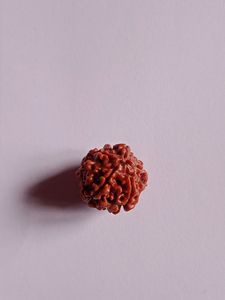 RUDRAKSHA DIKSHA KIT