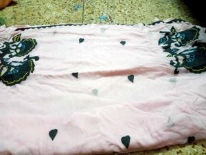 Light Pink Saree with Black Trim