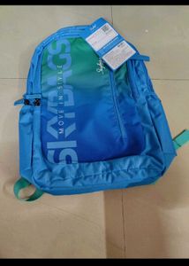 Skybags Backpack