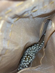 Gold Indian Bag