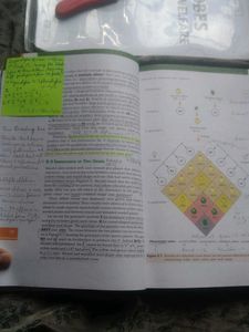 Biology Textbook Class XII