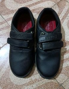 Indus School Shooes