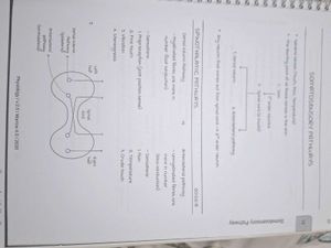Physiology NEET PG Notes