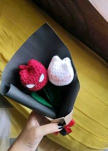 Spiderman Tulip  🌷🕸️
