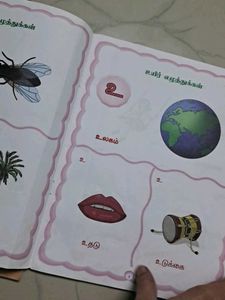 Baby Prekg Books