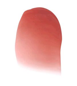 e.l.f. Glossy Lip Stain