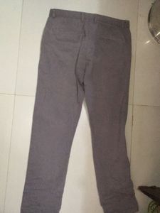 Pant