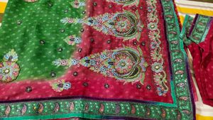 Beautiful Sari With Stitch Blouse