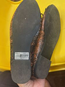 Stylish Urbane Ballerinas
