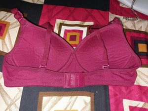 Burgundy Bra