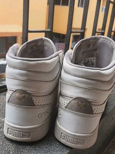 Puma Shoes Just Like New.