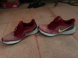 Nike Revolution Running Shoes