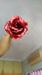 24k gold plated red rose