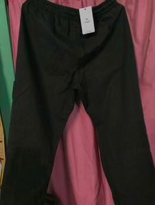 Trouser For Men