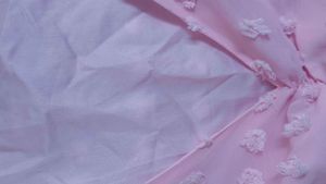 Pink Swiss Dot Long Sleeve Blouse