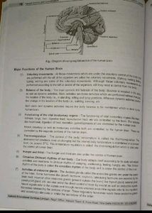 Aakash Neet Class XI Complete Study Packages