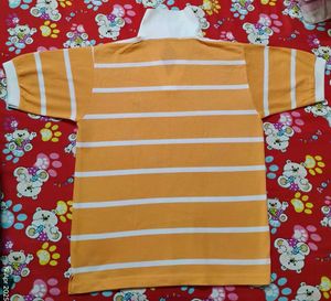 Orange Striped Polo T-shirt