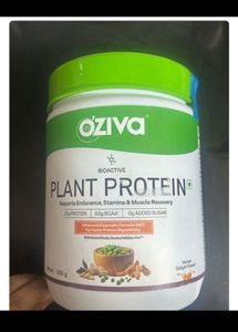 Plant Protein Mango