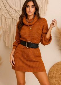 B2G2 🎁OG Shein Cozy Knit Sweater Dress C