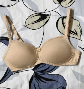 Jockey Women Wirefree Padded Cotton Tshirt Bra