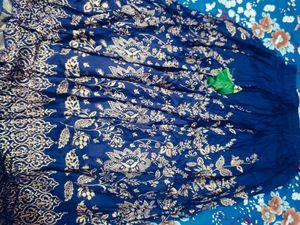 Beautiful Ethnic Printed Skirt