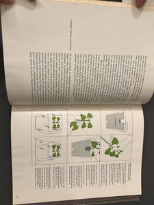 The Time life Encyclopedia Of Gardening