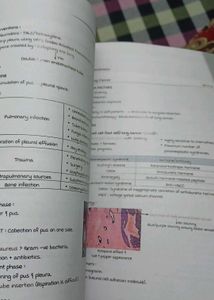 Marrow Notes 8ed
